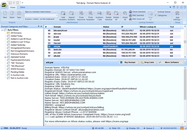 Domain Name Analyzer Screen