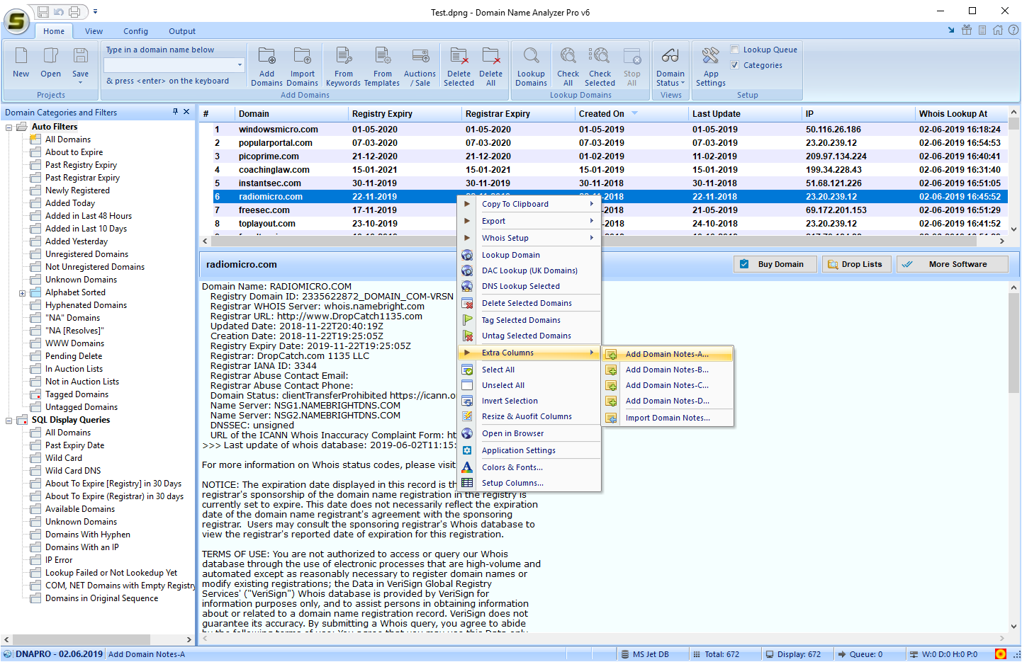 Domain Name Analyzer